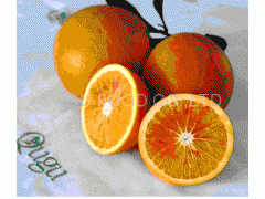 February Red Navel Orange