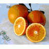 February Red Navel Orange