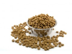 pet foods