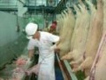 Australia lifts abattoir welfare standards