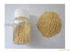 Soy sauce powder