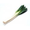 Green Chinese onion