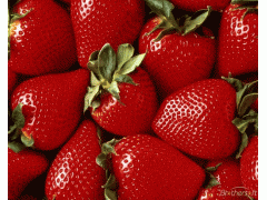Buy strawberry