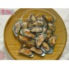 Mussel With Shell