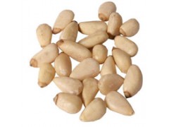 Chinese Pine nuts kernels or pignoli