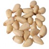 Chinese Pine nuts kernels or pignoli