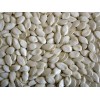 Chinese snow white pumpkin seeds