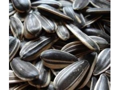 sunflower seeds-Cameroon