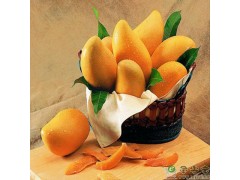 Buy fresh mango