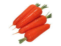 red carrot-China