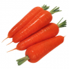 red carrot-China