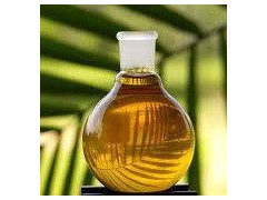 Buy RBD palm oil