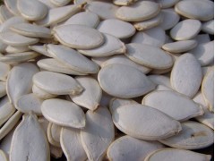 white pumpkin seed