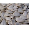 white pumpkin seed