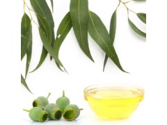 Gumleaf Oil 200ml