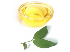 Lemon Myrtle Oil 25ml