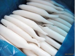 Frozen squid tube--seafood