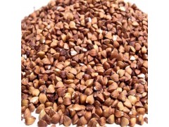 Roasted Buck Wheat Kernel