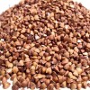 Roasted Buck Wheat Kernel