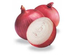 New crop Chinese all kinds of onions