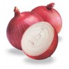 New crop Chinese all kinds of onions