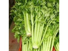 Chinese Fresh Celery