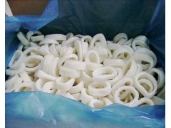 FROZEN ILLEX ARGENTINUS SQUID RINGS