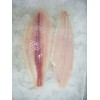 frozen pangasius filets