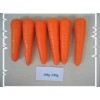 Fresh Carrots