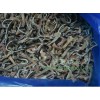 Frozen Black Fungus Strips