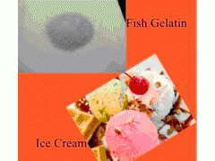 fish gelatin
