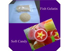 fish skin gelatin