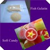 fish skin gelatin