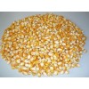 white corn, yellow corn, wheat,sorghum,