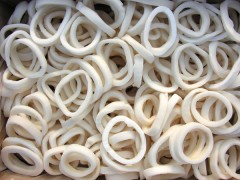 squid rings frozen