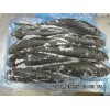 frozen grey mullet high quality
