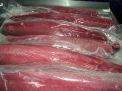 Yellow fin tuna loin, CO treatment