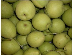 Pear-china