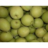 Pear-china