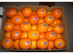 Fresh Navel Orange