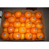 Fresh Navel Orange