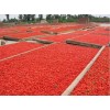 Dried goji berry