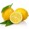 Fresh and fragant lemon flavor concentrate juice