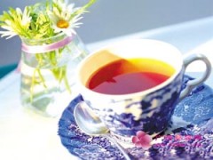 Instant Tea Extract Powder