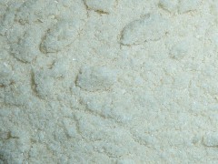 Litchi Powder
