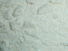 Litchi Powder