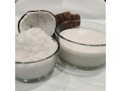 COCONUT MILK (Santan)