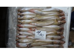 Frozen Lady fish/ Sillago shiema