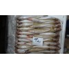 Frozen Lady fish/ Sillago shiema