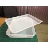 Buy Food container